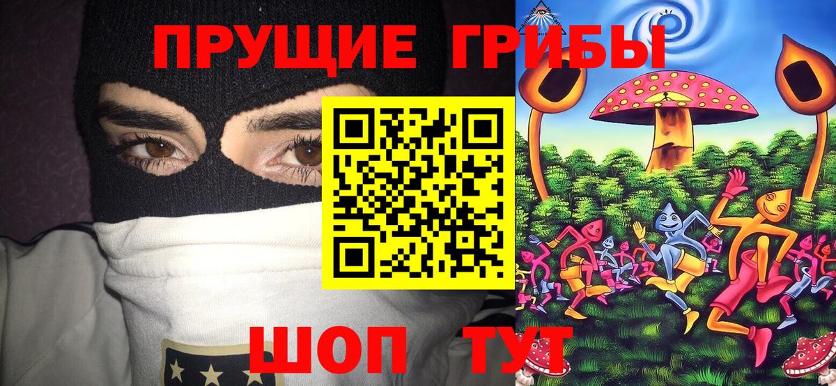 Псилоцибиновые грибы мухоморы  Вход с VPN  Иркутск  Галлюциногенные грибы ЛСД 
